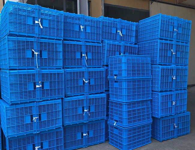 塑料周轉(zhuǎn)箱